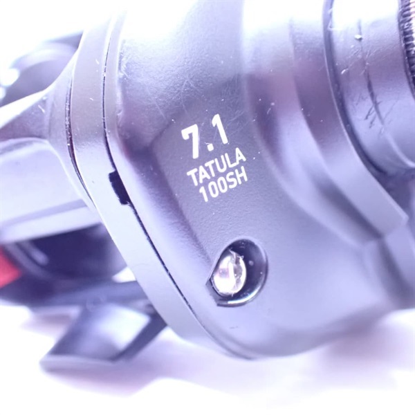 １９タトゥーラＴＷ１００ＳＨ